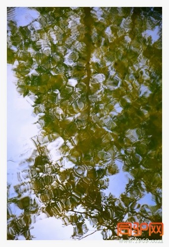 399A7400.jpg 399A7400.jpg