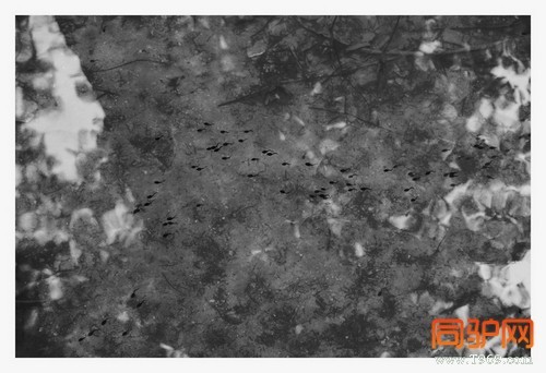 399A7401.jpg 399A7401.jpg