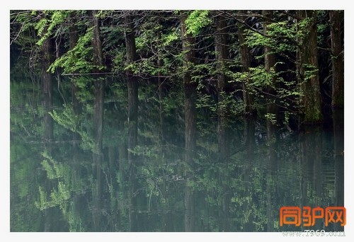 399A7406.jpg 399A7406.jpg