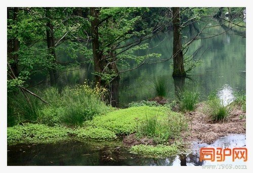 399A7412.jpg 399A7412.jpg