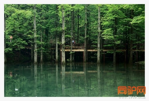 399A7417.jpg 399A7417.jpg