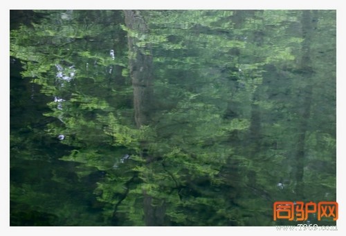 399A7419.jpg 399A7419.jpg