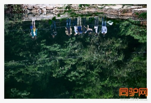 399A7423.jpg 399A7423.jpg