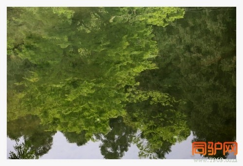 399A7425.jpg 399A7425.jpg