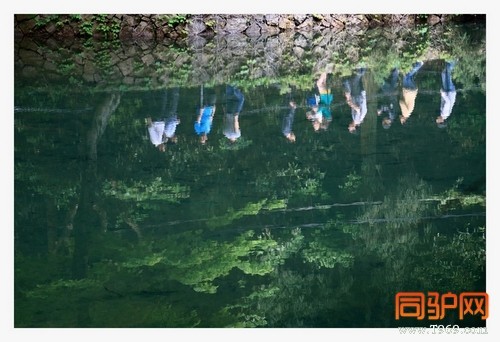 399A7427.jpg 399A7427.jpg