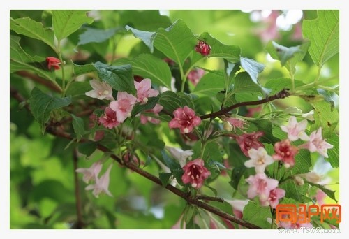 399A7430.jpg 399A7430.jpg