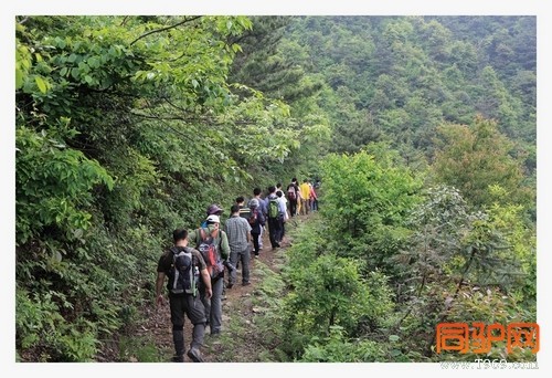 399A7437.jpg 399A7437.jpg