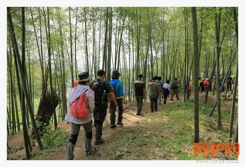 399A7442.jpg 399A7442.jpg