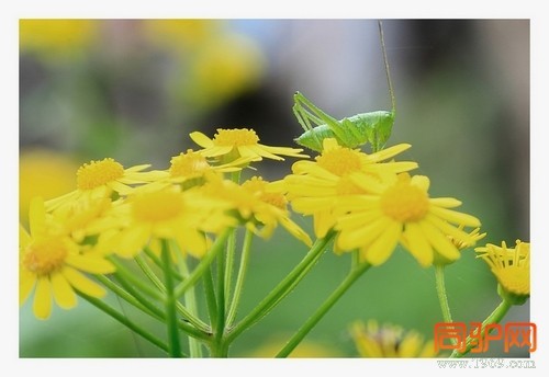 399A7452.jpg 399A7452.jpg