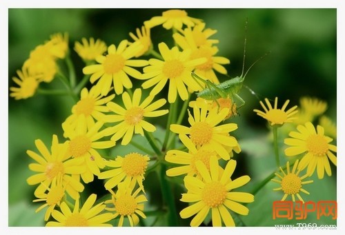 399A7453.jpg 399A7453.jpg