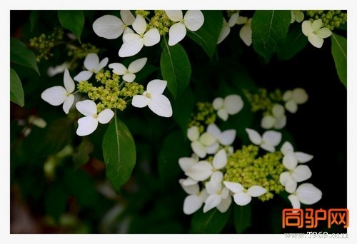 399A7457.jpg 399A7457.jpg