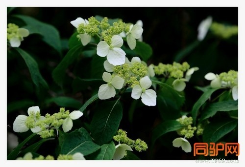 399A7460.jpg 399A7460.jpg