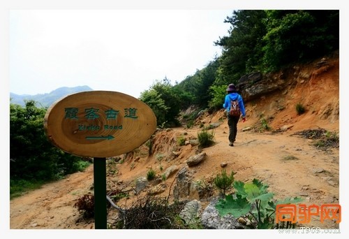 399A7463.jpg 399A7463.jpg