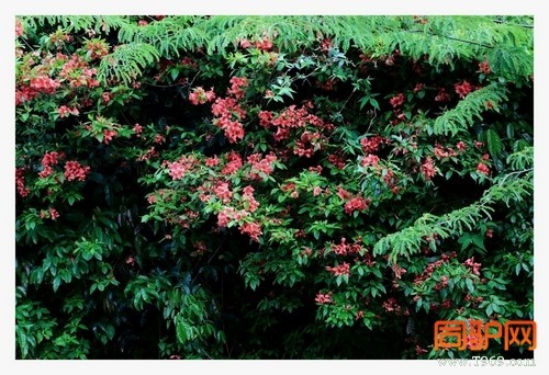 399A7476.jpg 399A7476.jpg