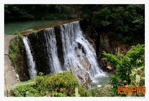 399A7482.jpg 399A7482.jpg