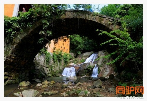 399A7509.jpg 399A7509.jpg