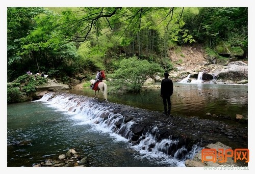 399A7536.jpg 399A7536.jpg