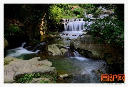 399A7548.jpg 399A7548.jpg