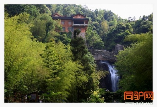 399A7550.jpg 399A7550.jpg