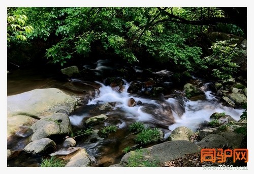 399A7552.jpg 399A7552.jpg