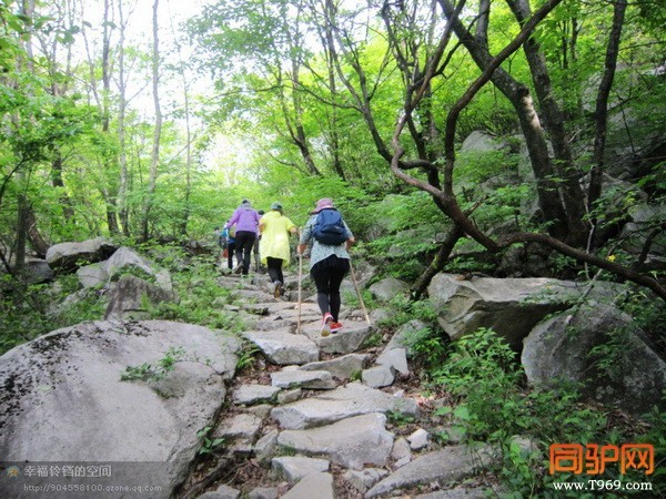 psb (3)_调整大小.jpg