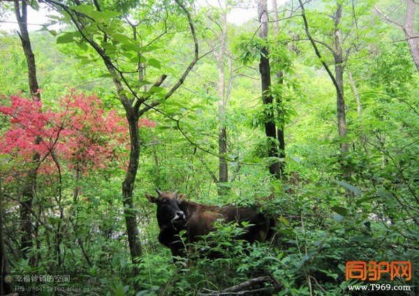 psb (55)_调整大小.jpg