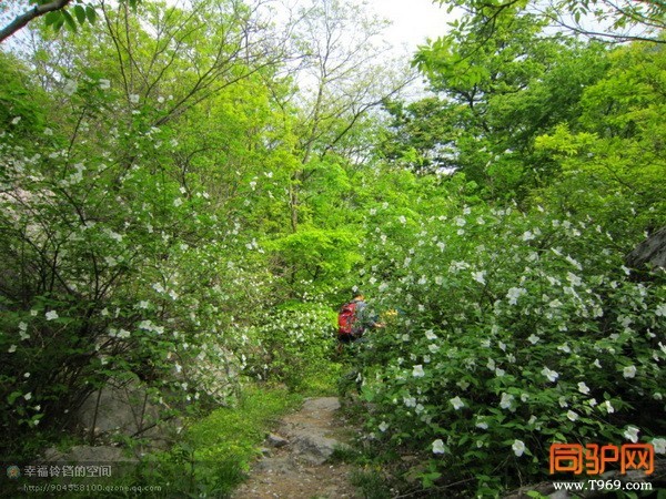 psb (4)_调整大小.jpg