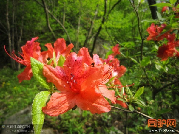 psb (5)_调整大小.jpg