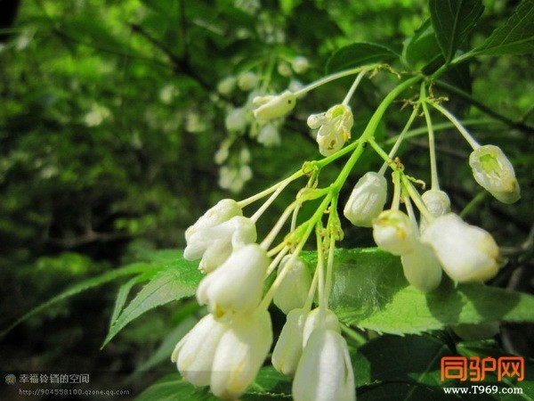 psb (6)_调整大小.jpg