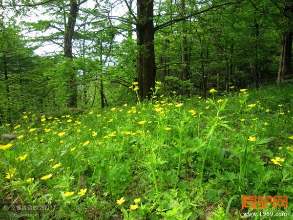 psb (49)_调整大小.jpg