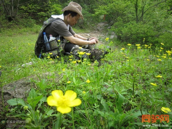 psb (56)_调整大小.jpg