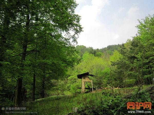 psb (7)_调整大小.jpg