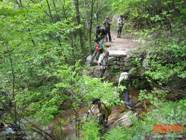 psb (50)_调整大小.jpg