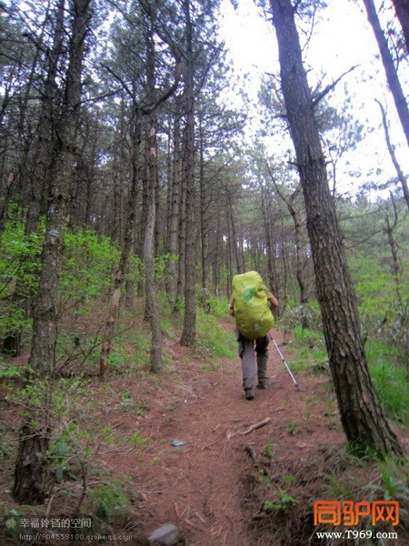 psb (52)_调整大小.jpg