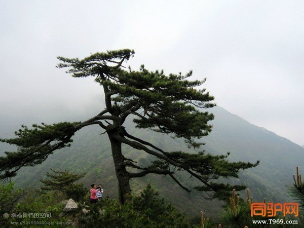 psb (9)_调整大小.jpg