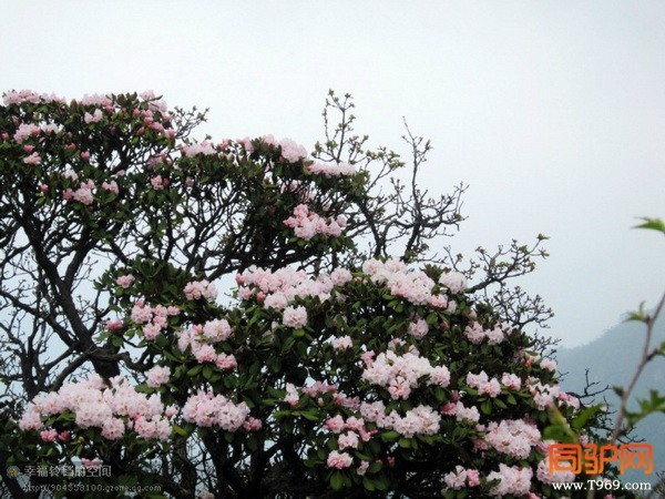 psb (13)_调整大小.jpg