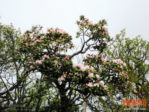 psb (75)_调整大小.jpg