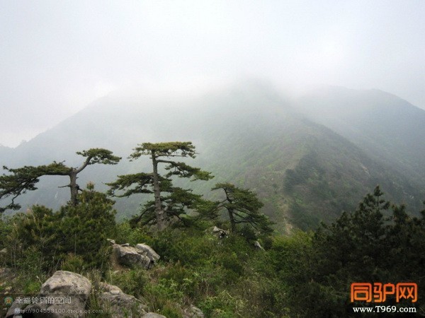 psb (57)_调整大小.jpg