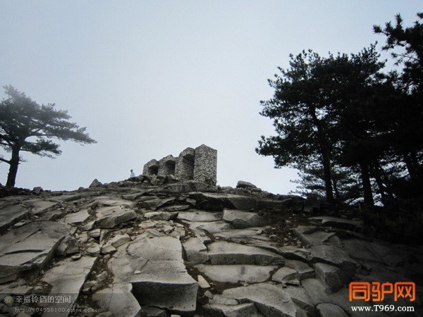 psb (14)_调整大小.jpg