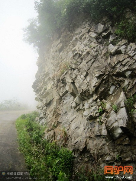 psb (81)_调整大小.jpg psb (81)_调整大小.jpg