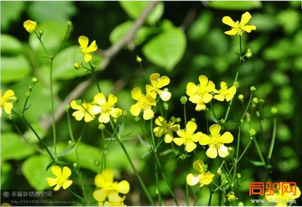 psb (26)_调整大小.jpg psb (26)_调整大小.jpg