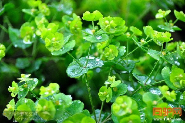 psb (27)_调整大小.jpg psb (27)_调整大小.jpg