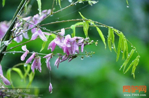 psb (28)_调整大小.jpg psb (28)_调整大小.jpg