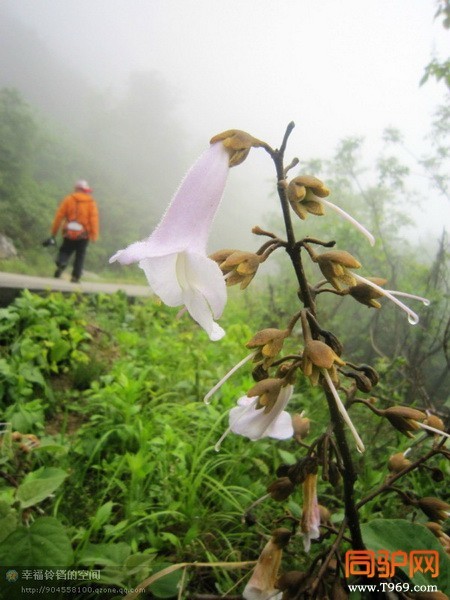 psb (29)_调整大小.jpg psb (29)_调整大小.jpg