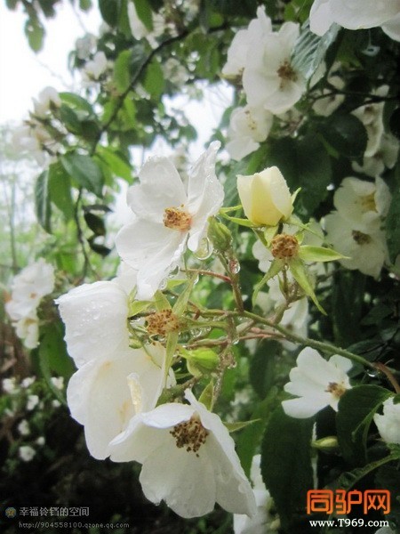 psb (30)_调整大小.jpg psb (30)_调整大小.jpg