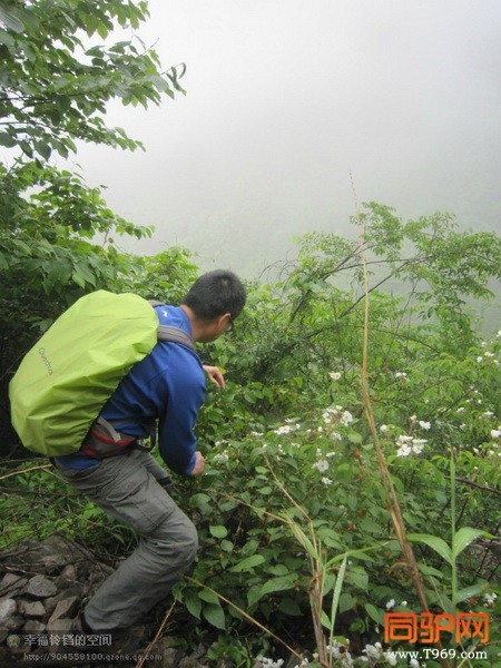 psb (31)_调整大小.jpg psb (31)_调整大小.jpg