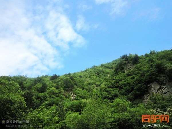 psb (35)_调整大小.jpg psb (35)_调整大小.jpg