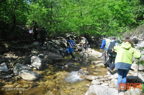 psb (41)_调整大小.jpg psb (41)_调整大小.jpg