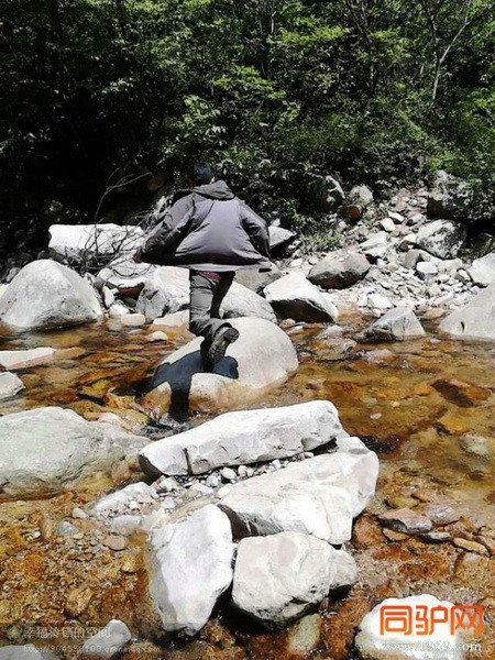 psb (42)_调整大小.jpg psb (42)_调整大小.jpg