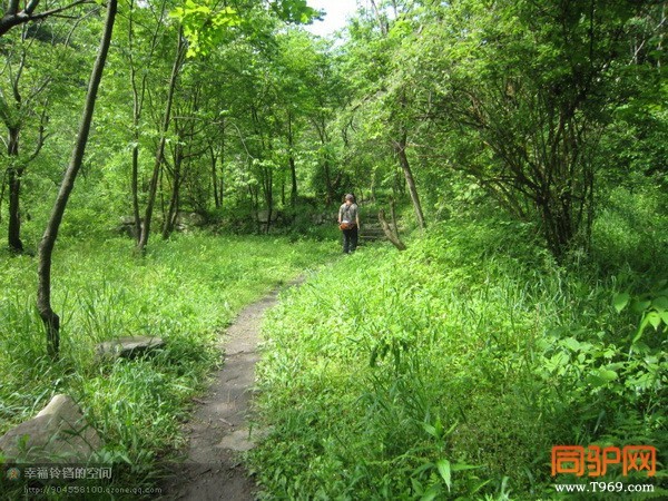 psb (43)_调整大小.jpg psb (43)_调整大小.jpg